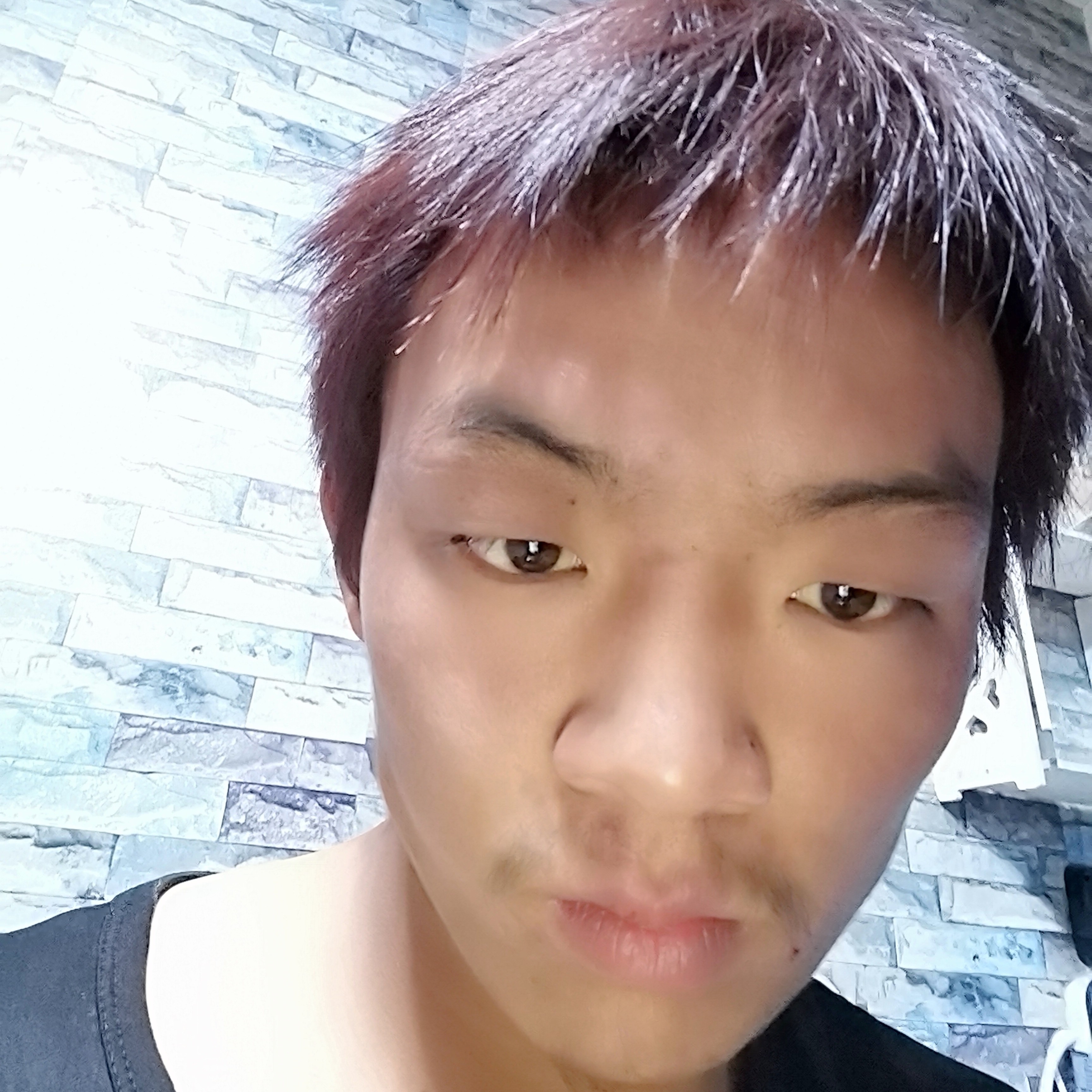 小蜜蜂的安详的照片