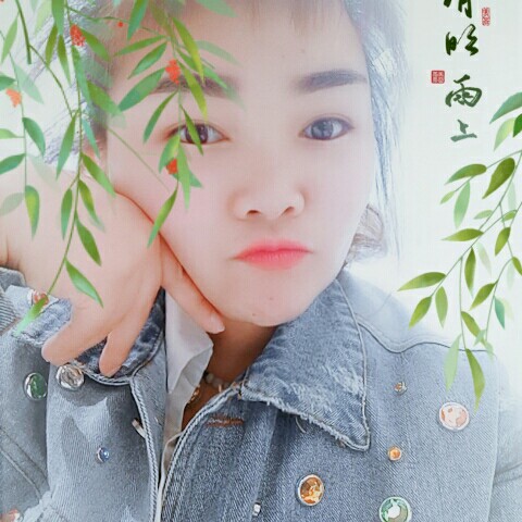 A枫叶的照片