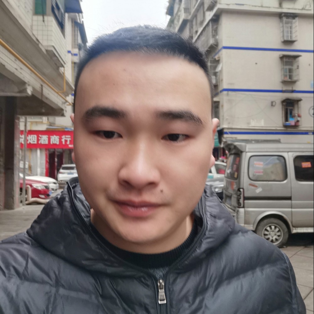 错落的大象的照片