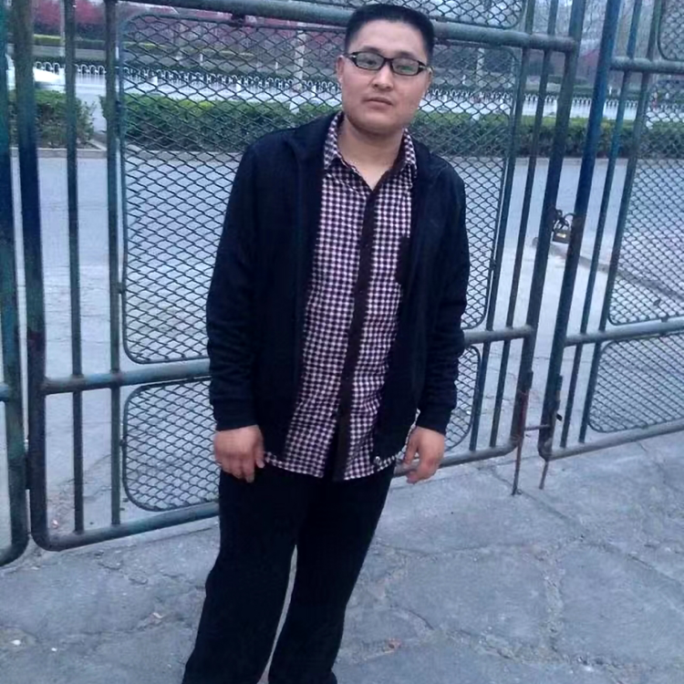 内向用玫瑰的照片