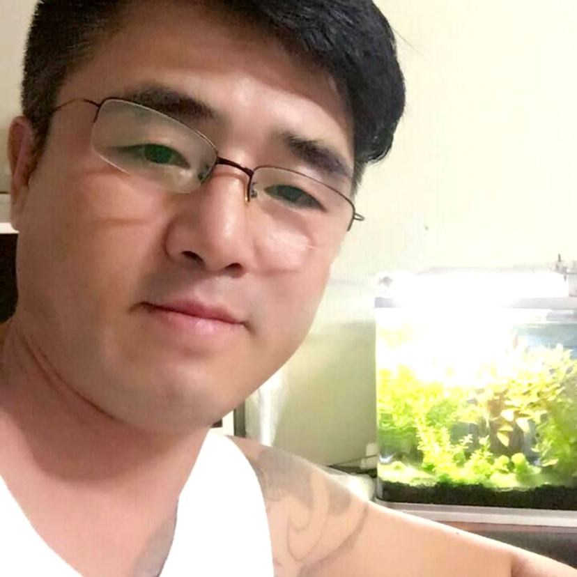 狼王帅的照片