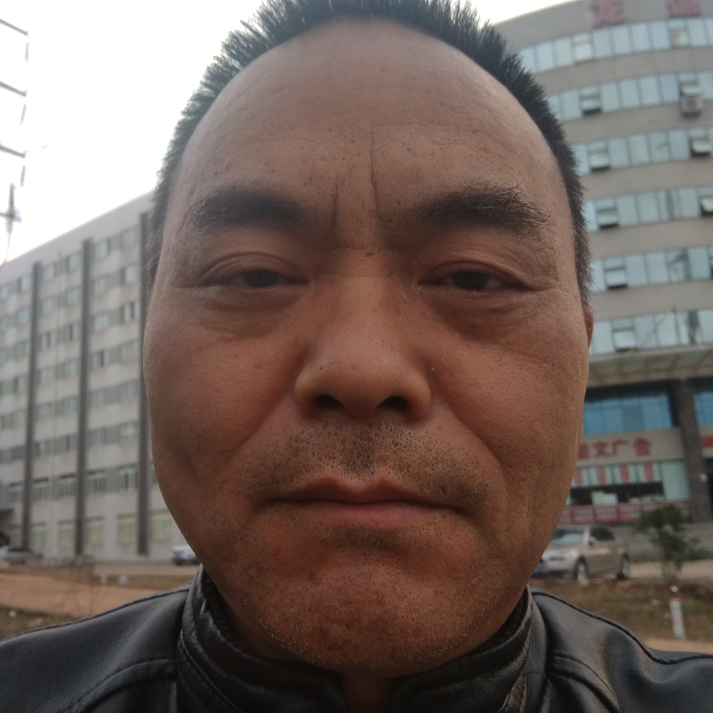 龙猫透彻的照片