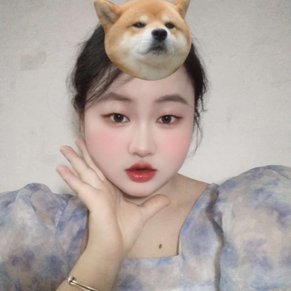 胖兔子呀！的照片