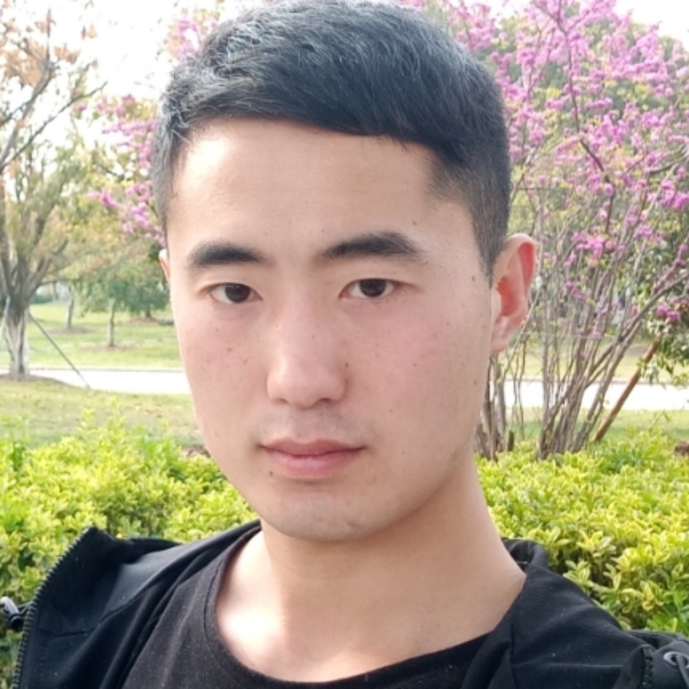 仙人掌向明亮的照片