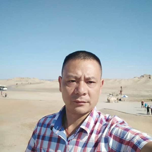 机智红牛的照片