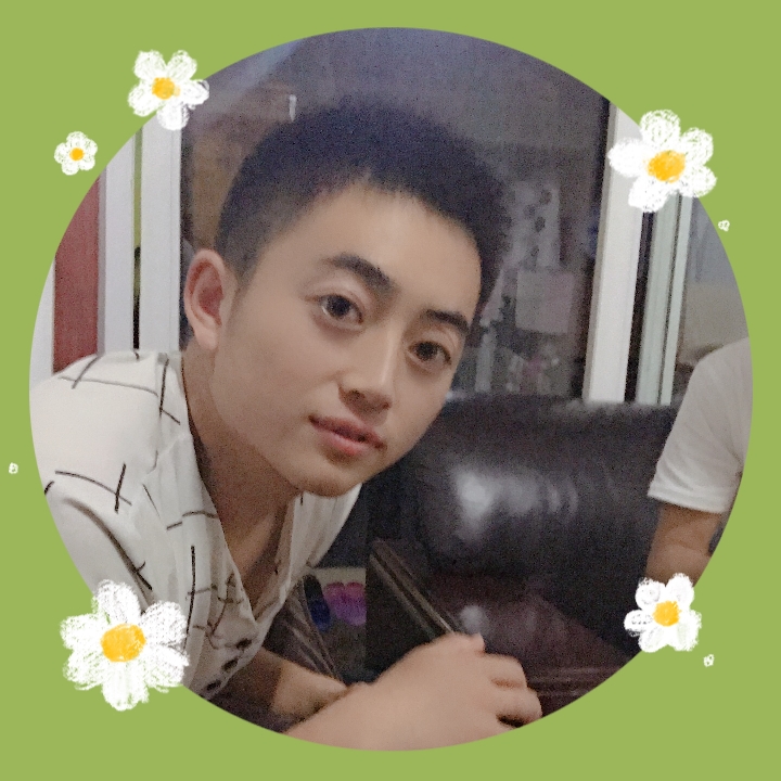 红玫瑰自由的照片