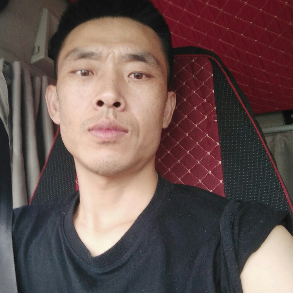 长颈但丁的照片