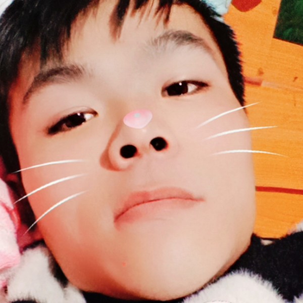 笨笨爱恋龙猫的照片