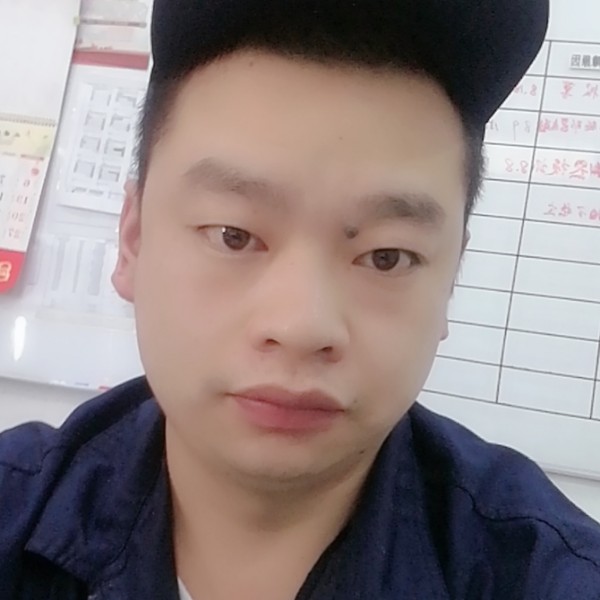 蜜蜂爱怕孤单的照片