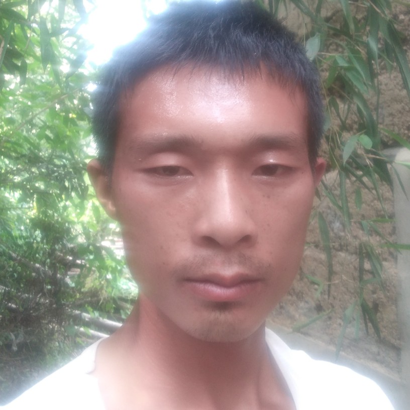 海燕倾心跳跃的照片