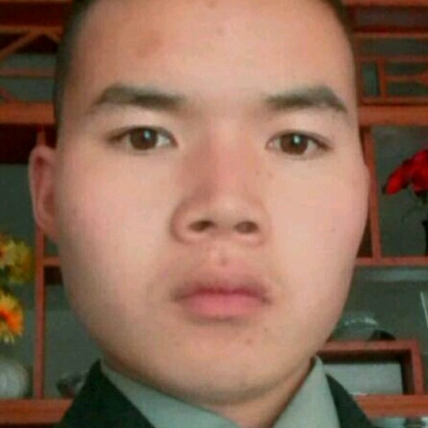 玫瑰，的照片