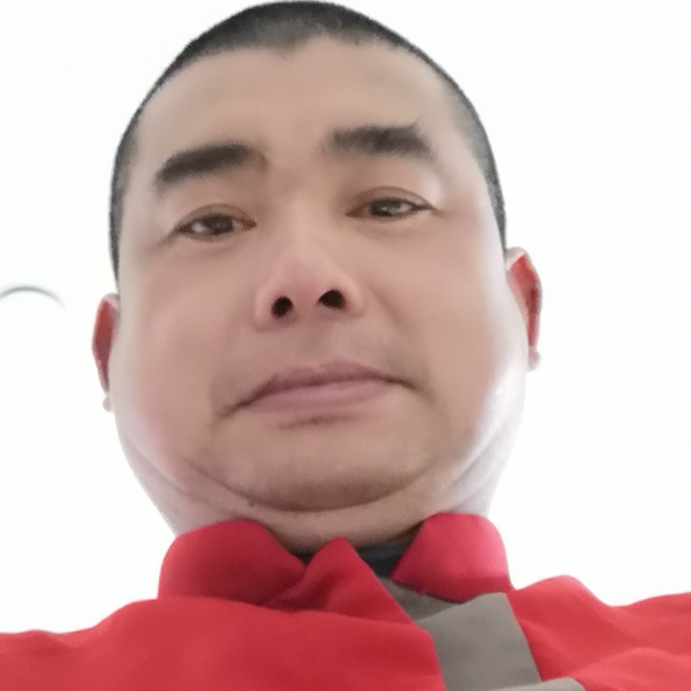 羽毛懵懂的照片