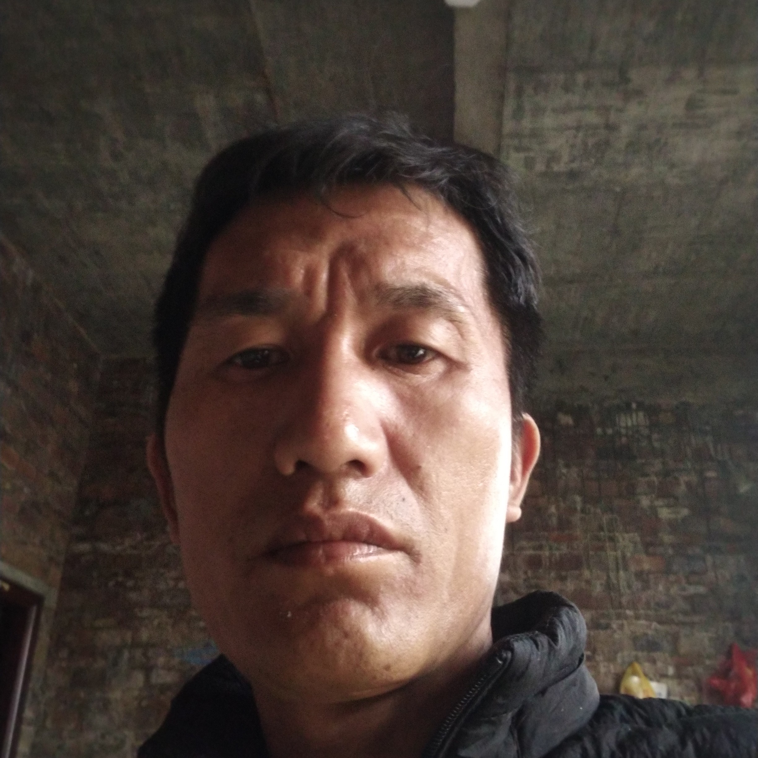 专一邂逅刺猬的照片