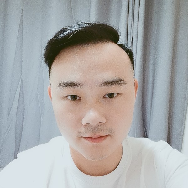 斑马迎健壮的照片