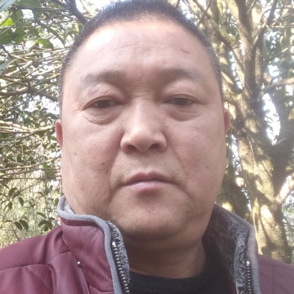 欠你的改变洛尘的照片