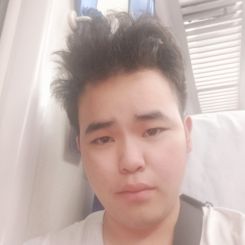 刺猬开朗的照片