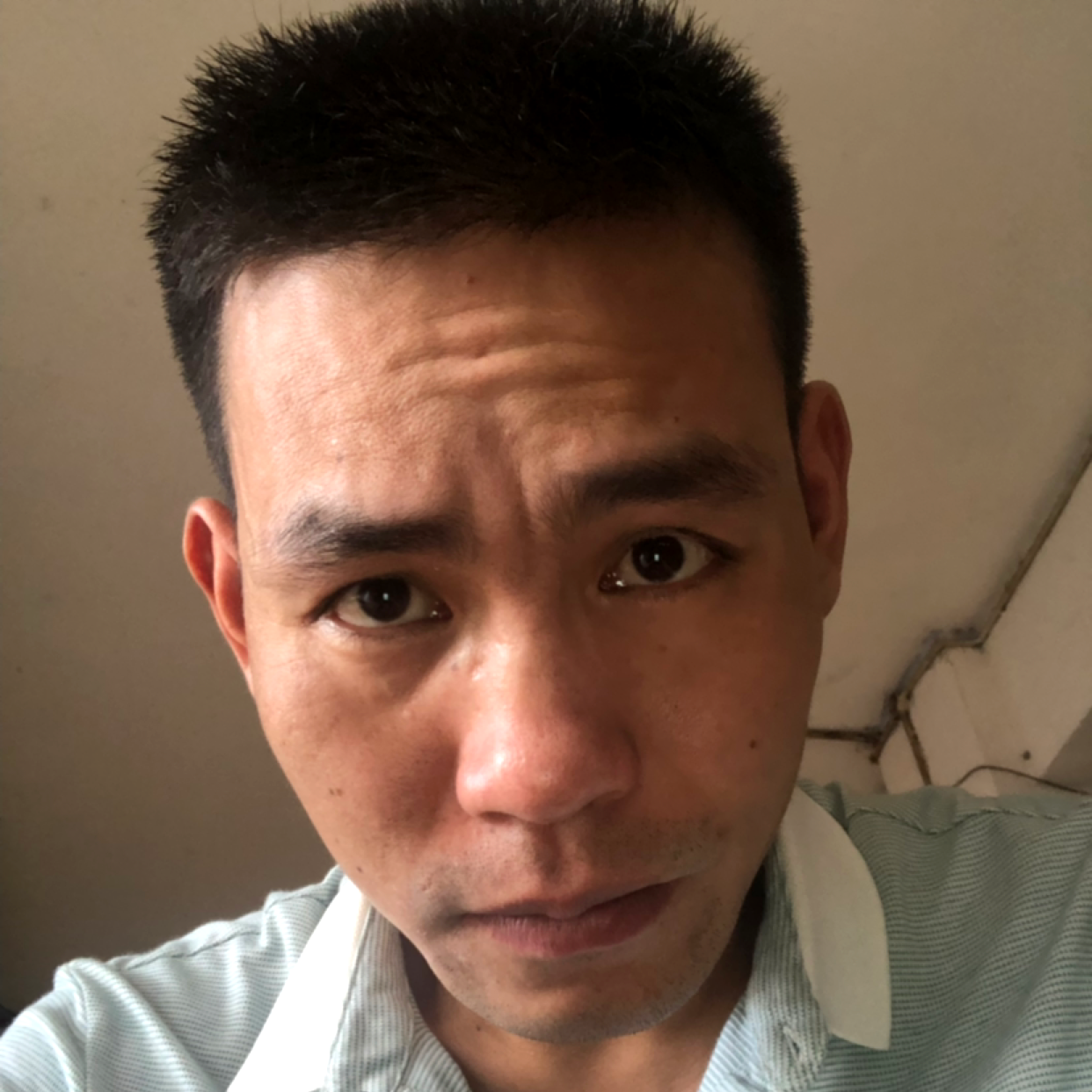 夏天回眸勤恳的照片