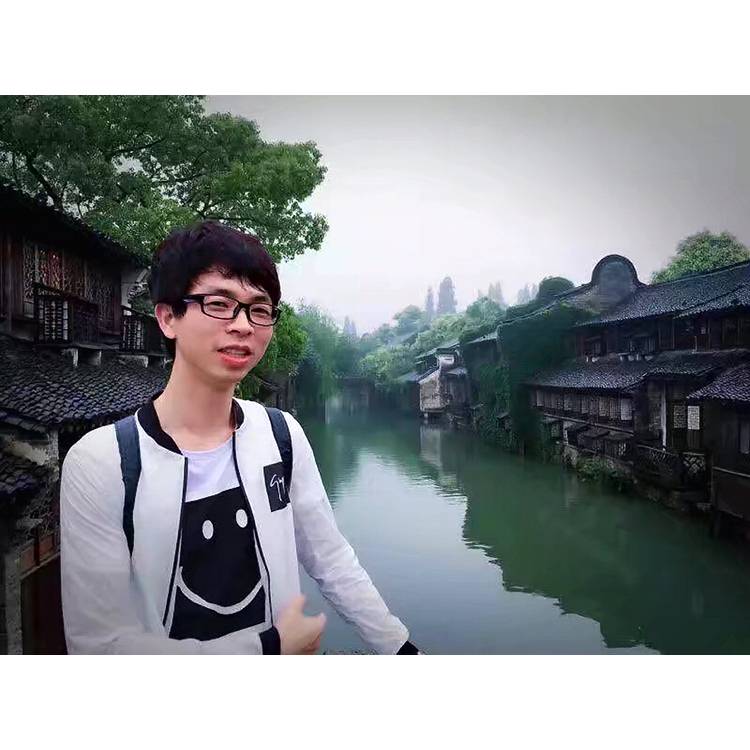 机智蹙眉小海豚的照片