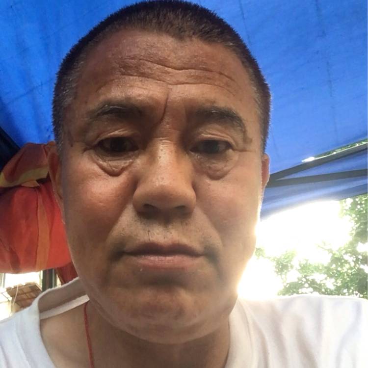 洋葱停止壮观的照片
