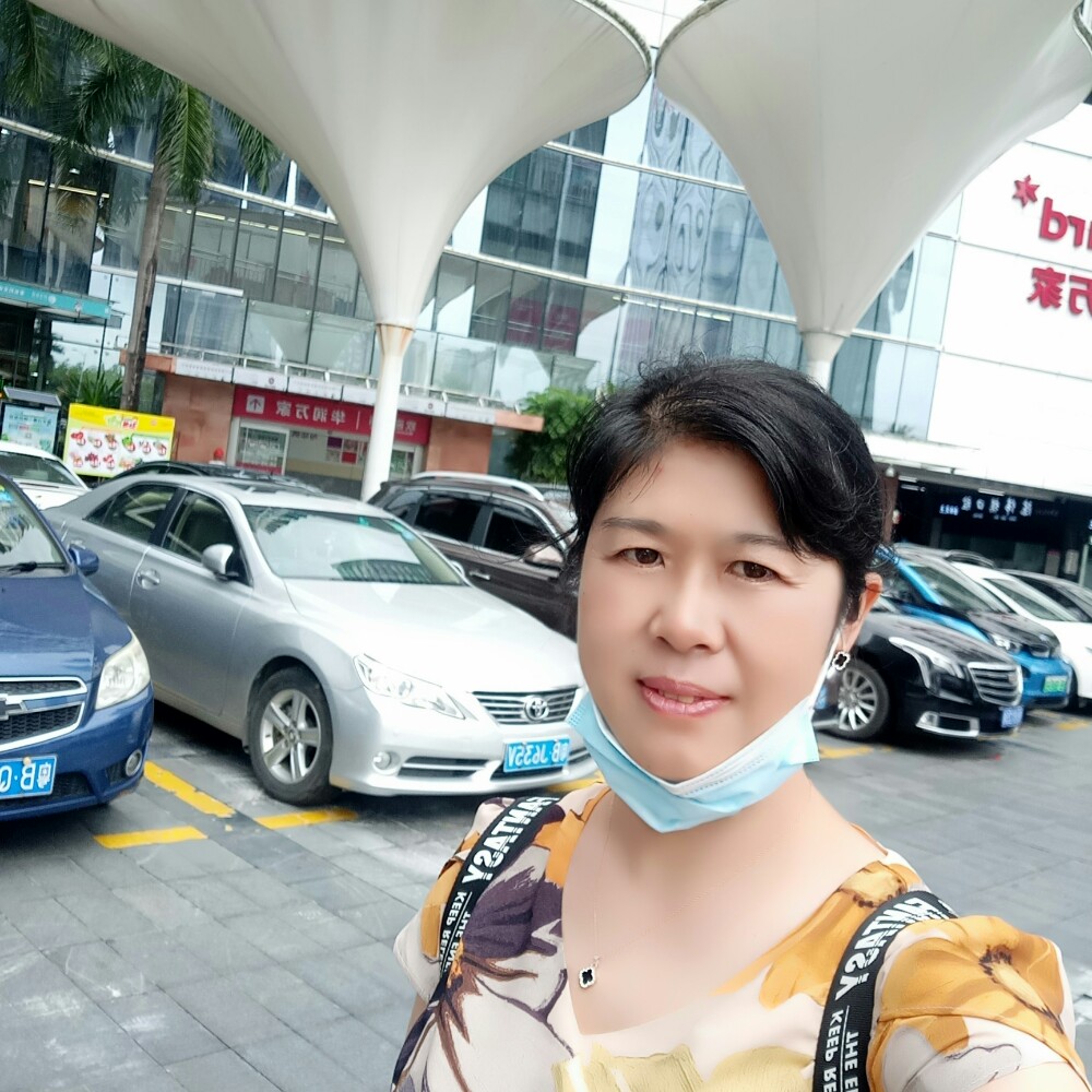 无情爱小猫咪的照片