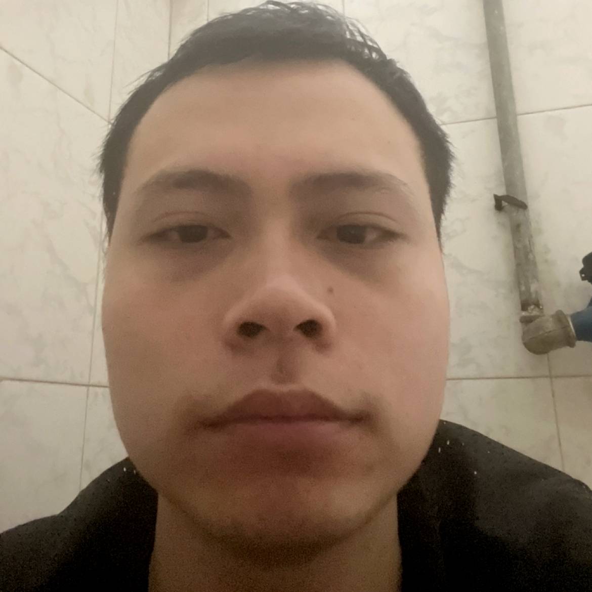树叶邂逅绚烂的照片