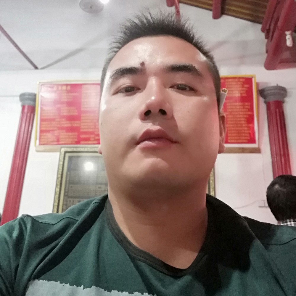 寂寞的羔羊的照片