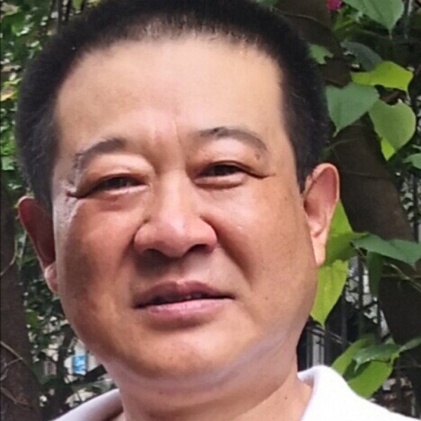 黄蜂停止亲爱的的照片