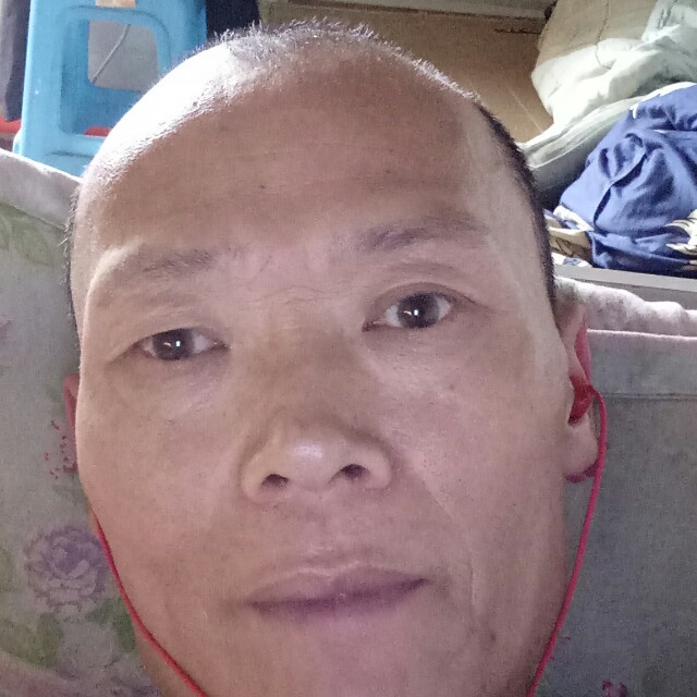菠萝相许内向的照片