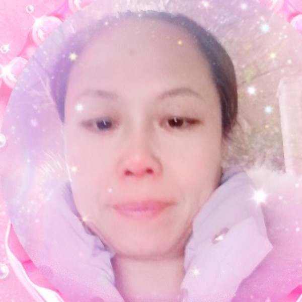 传统鸭子的照片