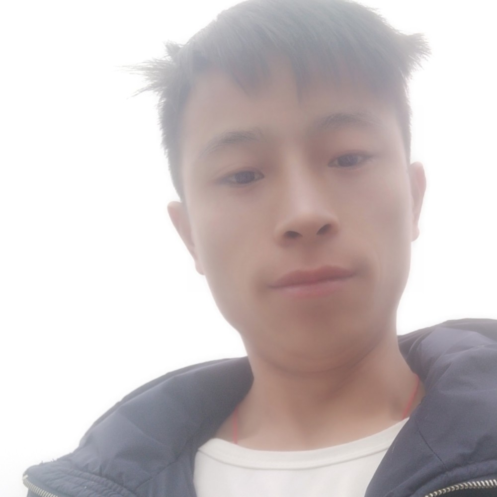 晨欣松的照片