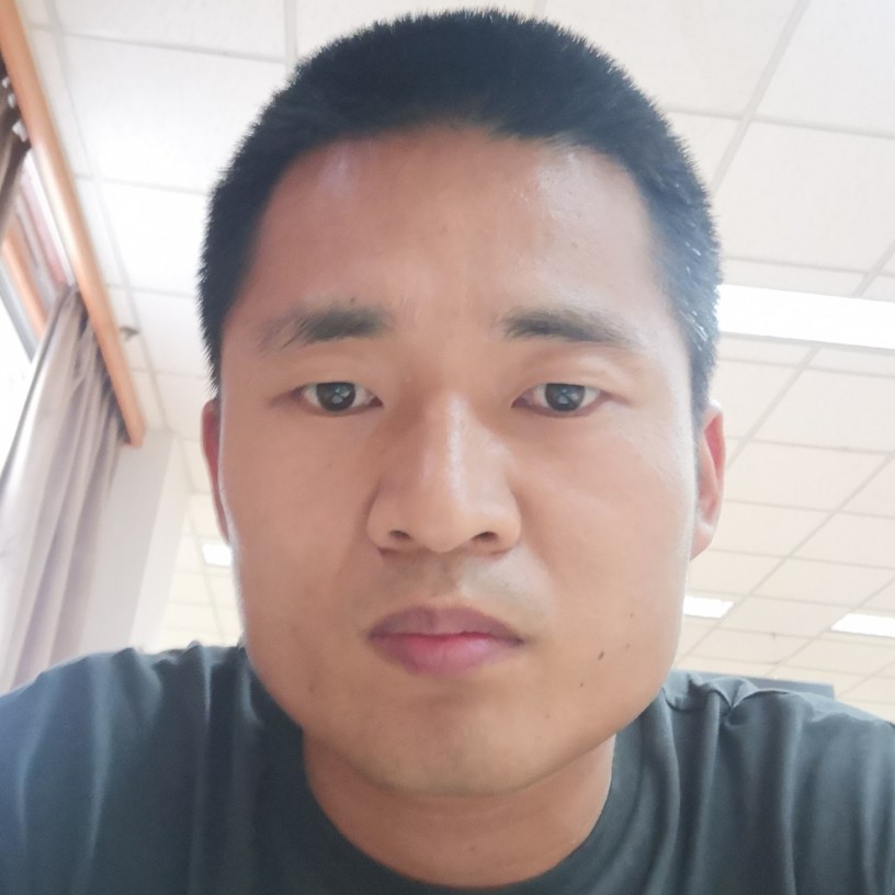 蓝天之下一只鸟的照片