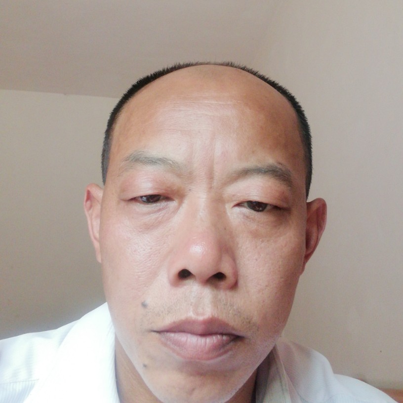 树坦率的照片