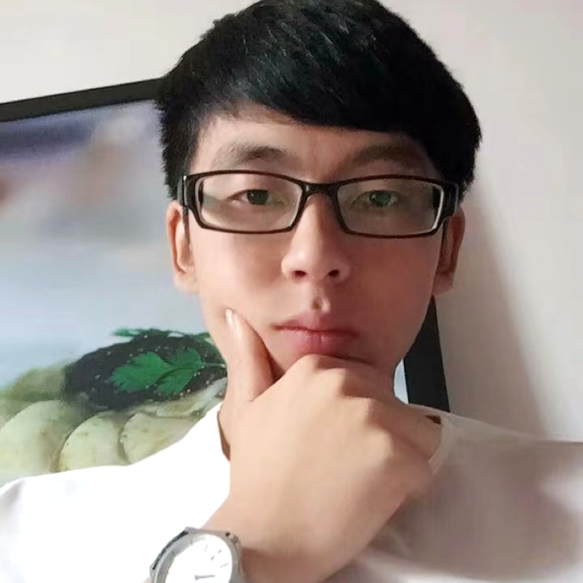 大雁沉默的照片