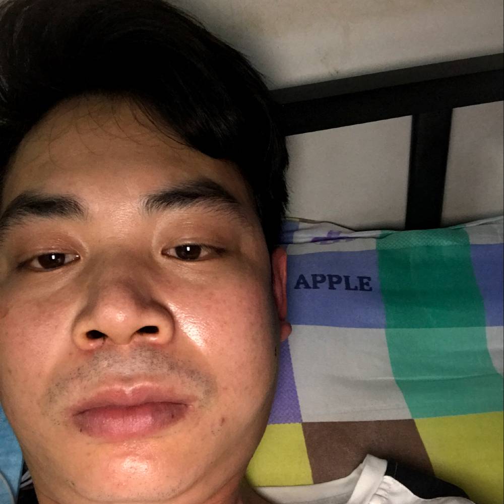 小蚂蚁放弃现实的照片
