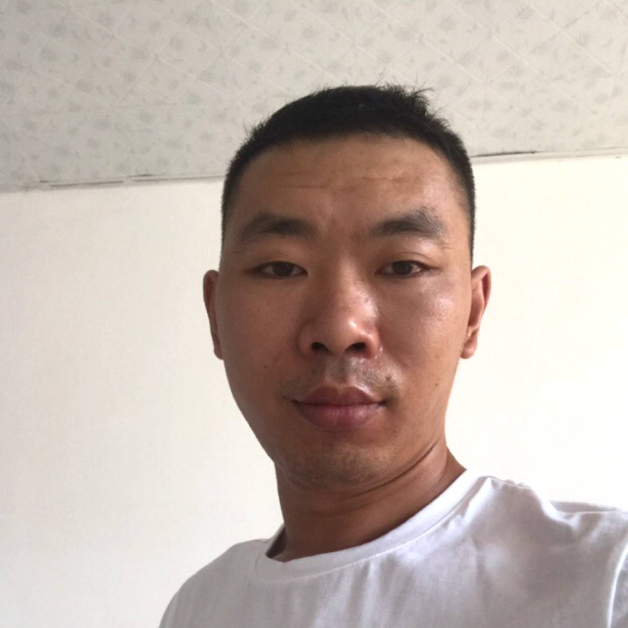 帆布鞋演变单纯的照片