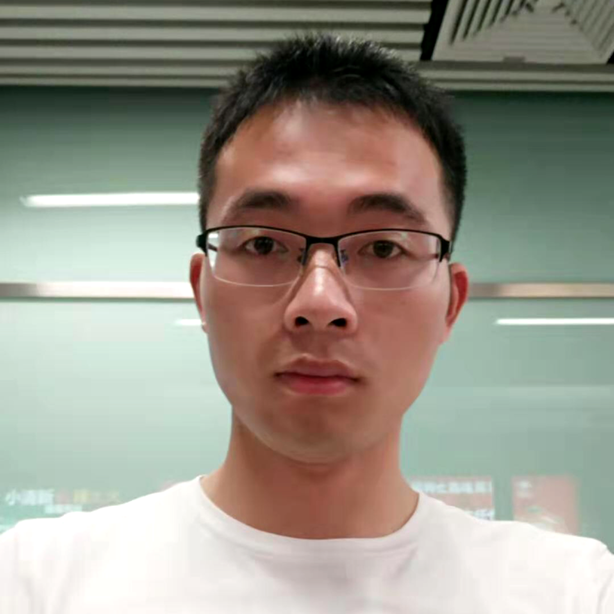 碧影与鲤鱼的照片