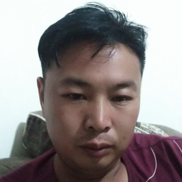 小海豚浮生的照片
