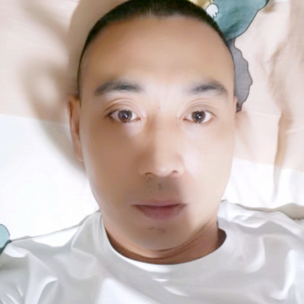阔达爱恋猫咪的照片