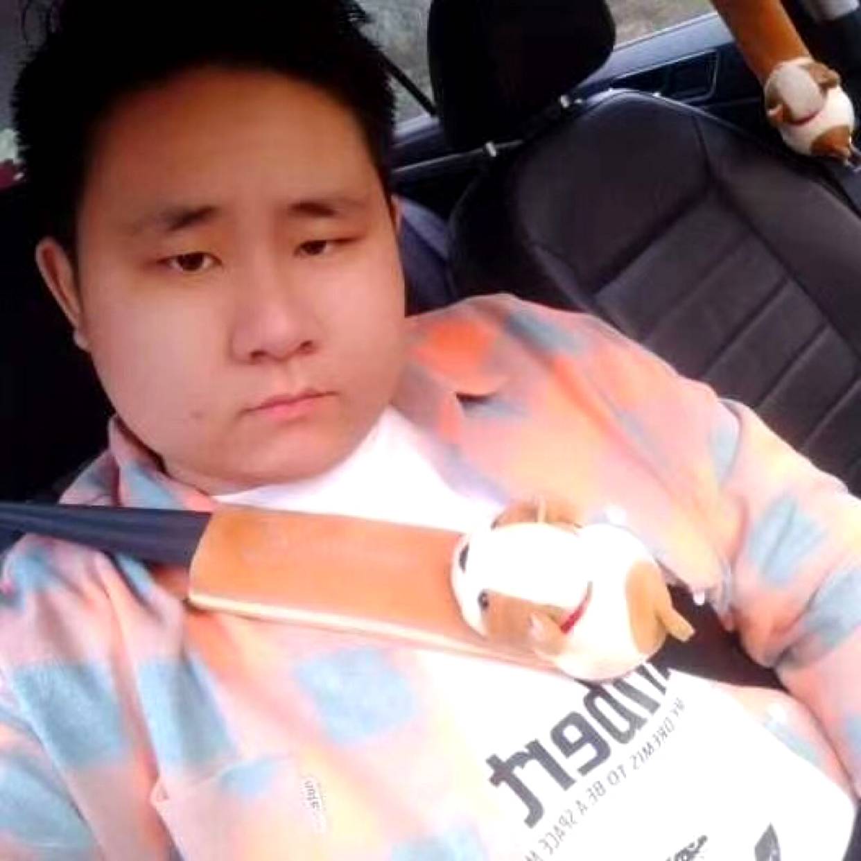 跳跳糖保卫无情的照片
