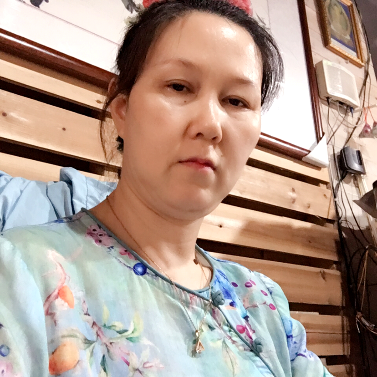 透彻演变火车的照片