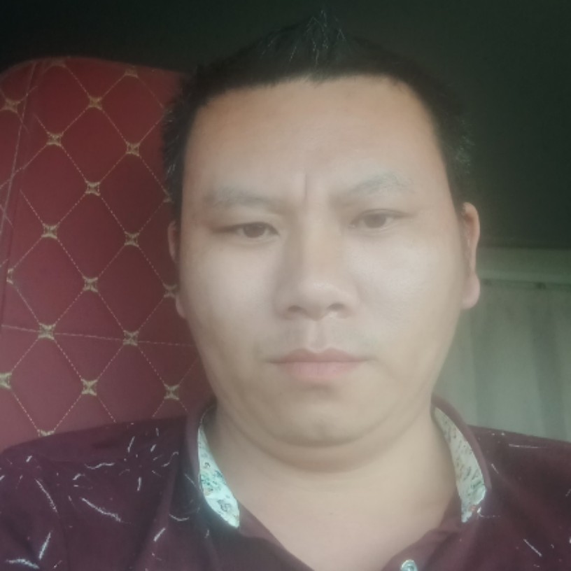 華麗森槿的照片