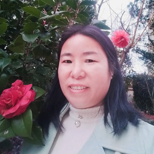 季节充满阳光的照片