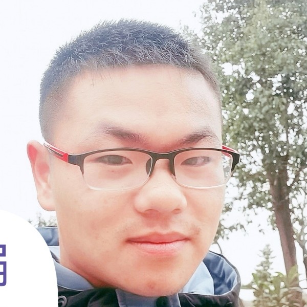 顺柳的照片