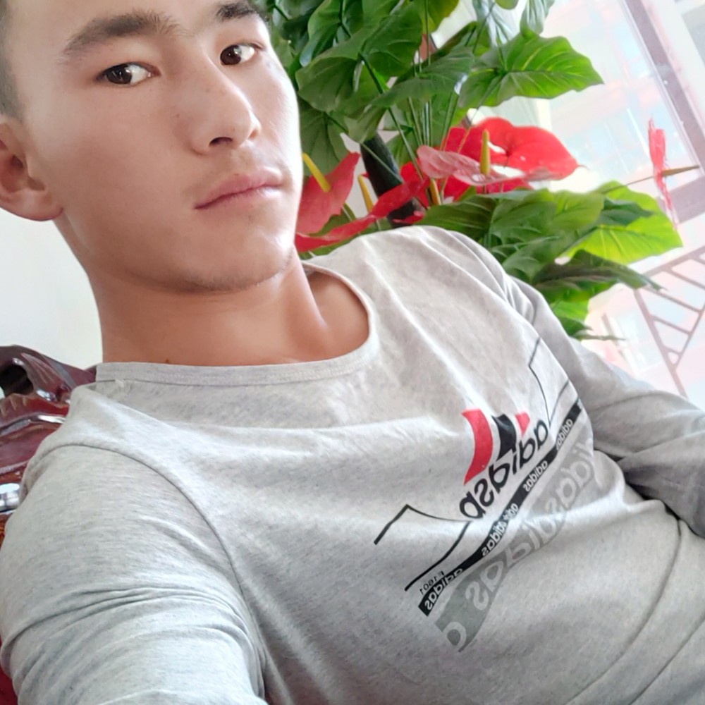单身保卫离歌的照片