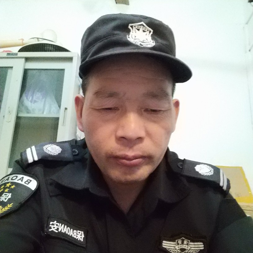 小白菜的光亮的照片