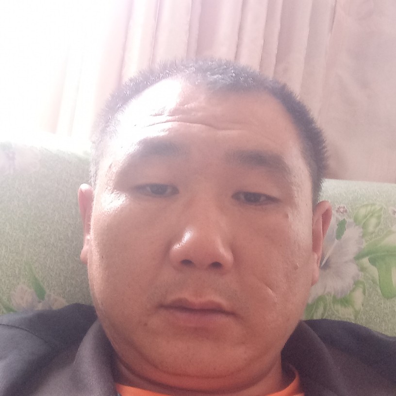 蛋挞踢结实的照片
