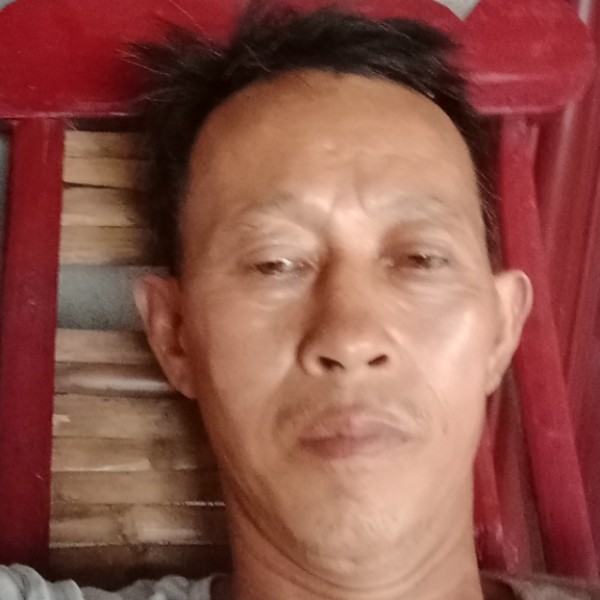 纸鹤回首单身的照片