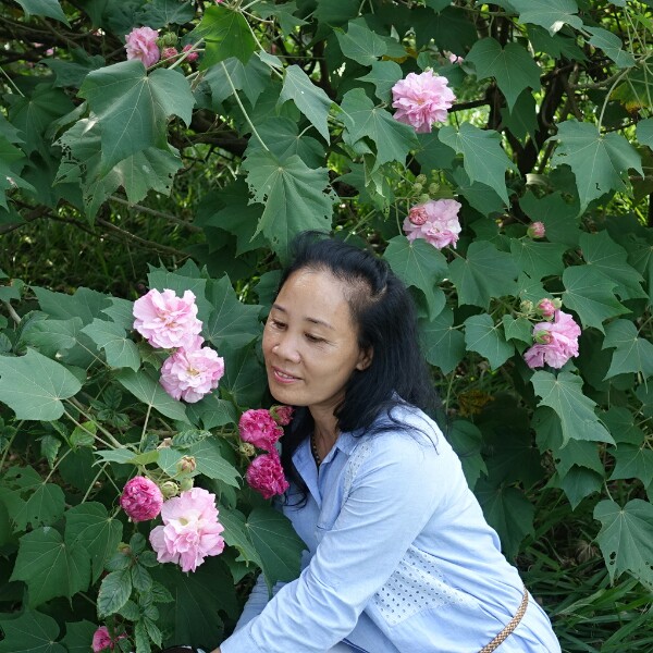 小小莲花的照片