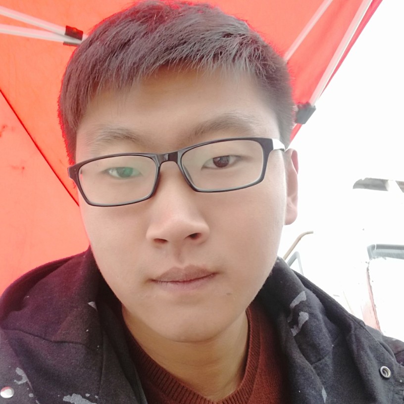 烂漫白昼的照片