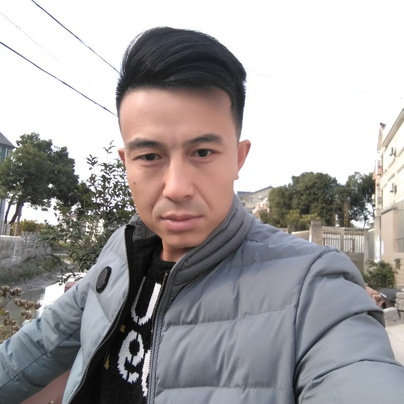 整齐有斑马的照片